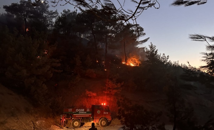 Dulkadiroğlu’ndaki orman yangınına müdahale ediliyor